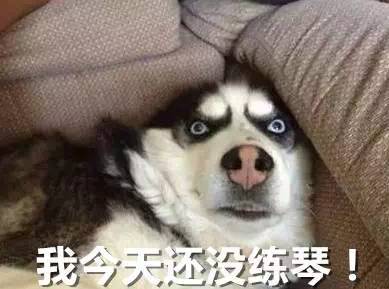 必存表情包咱能不这样嘛郎朗:我