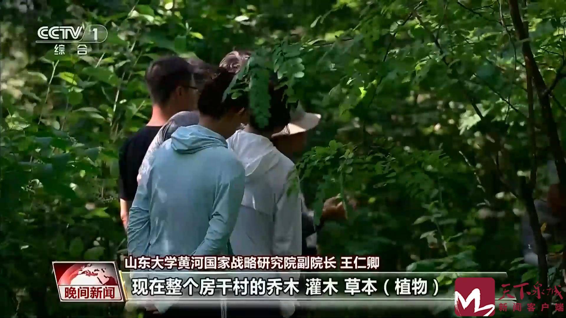 央视 | 山东济南：石山变青山 房干入画来