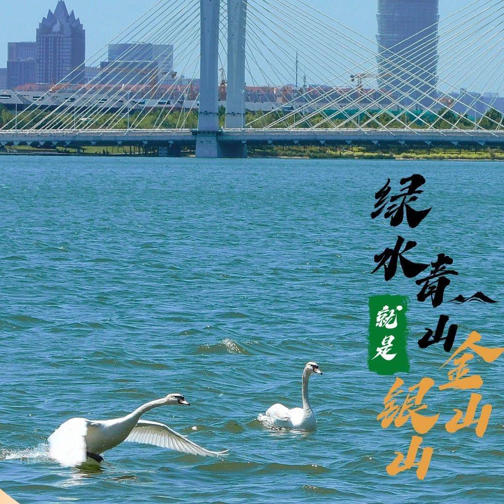 2025年全国生态日宣传海报来啦!_主题_银山_金山