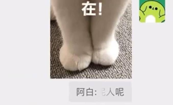 微信聊天又出新功能！网友：太精准了，好实用