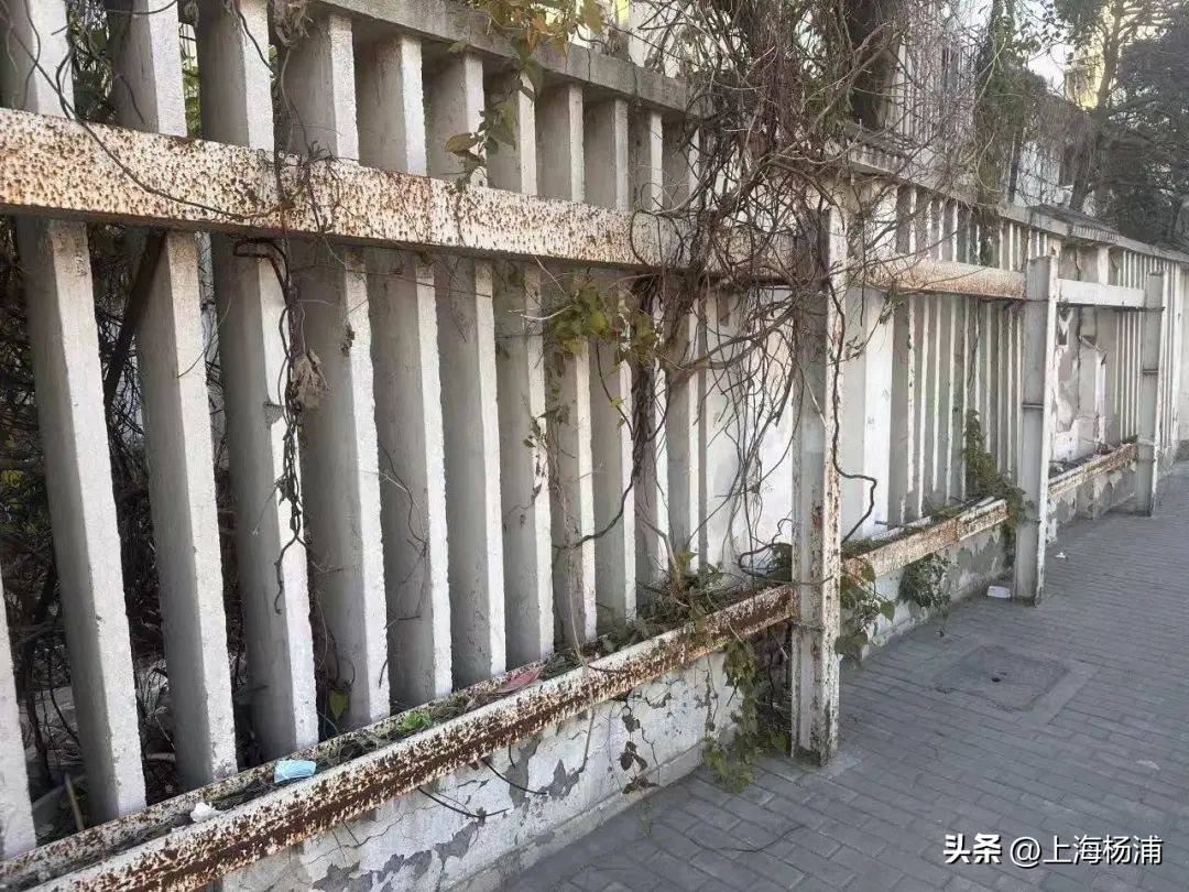 从“危墙”到“微墙”，“居民自治”与“多格合一”共绘危墙“治”理