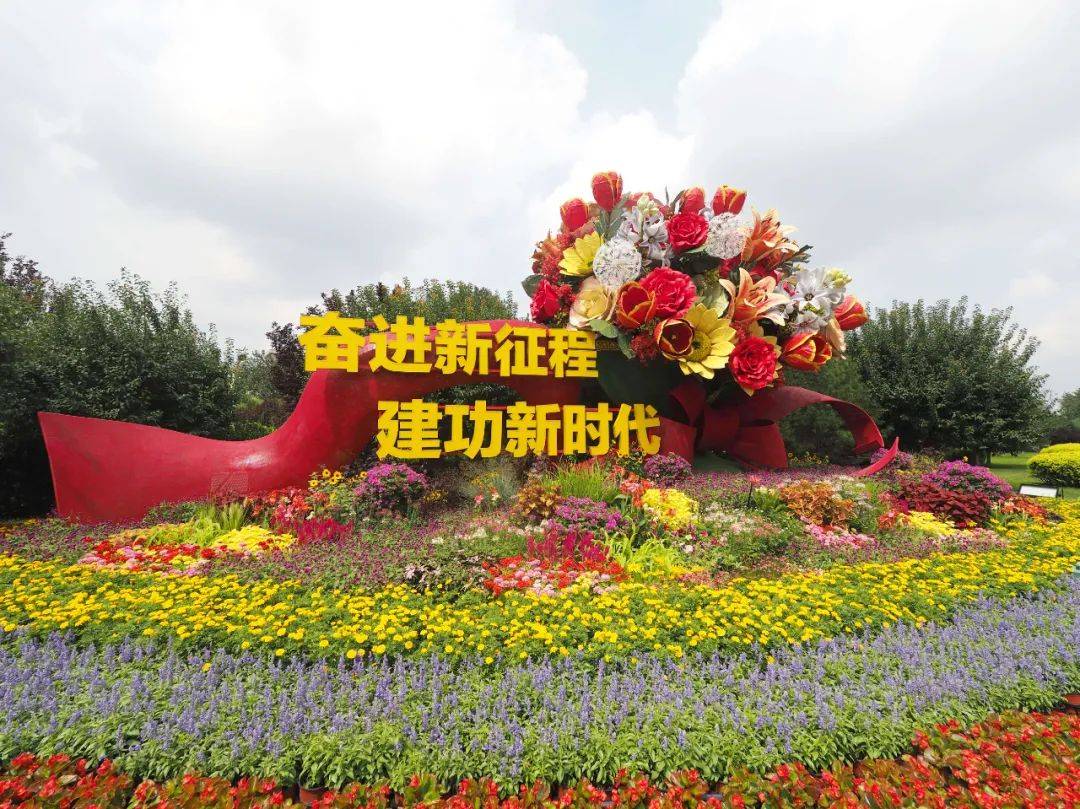 先睹为快!纪念抗战胜利80周年主题花坛搭建中