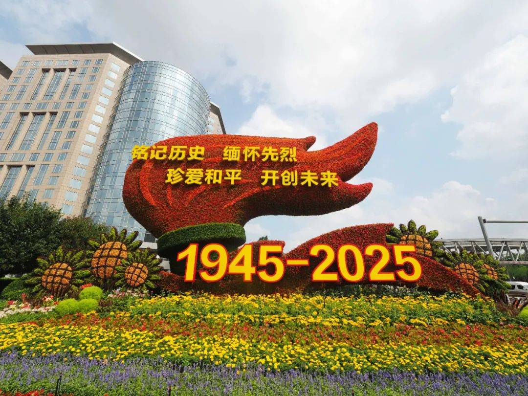 先睹为快!纪念抗战胜利80周年主题花坛搭建中