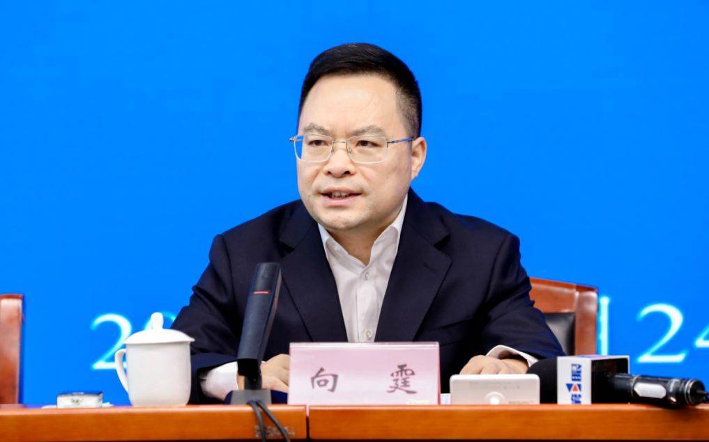 重庆通报：向霆被查