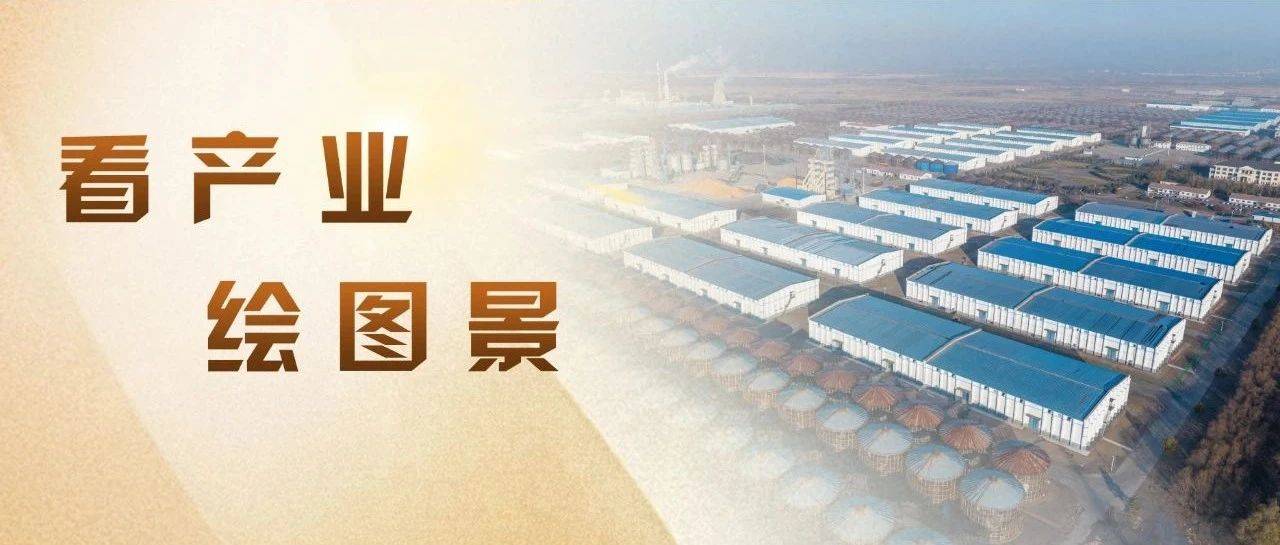 象屿集团30周年巡礼丨象屿物流如何畅通双循环?看完就有“数”_服务体系_公司_产业链