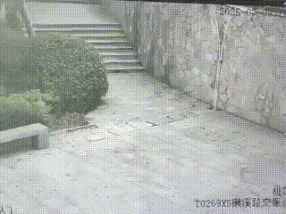 昆明街头惊现“异形”？警方：拿下！