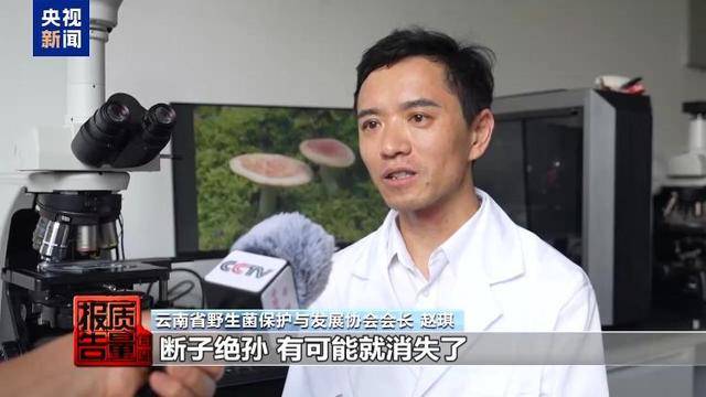 云南大理“采菌游”爆火 无序采摘已引发多起警情