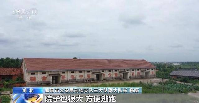 看小说学盗墓挖走20余件国宝 特大盗墓案细节曝光