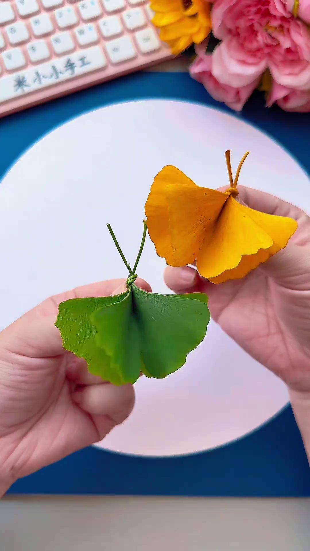 只要两片银杏叶就可以做飞舞的蝴蝶,简单好看,很灵动幼儿园手工 亲子