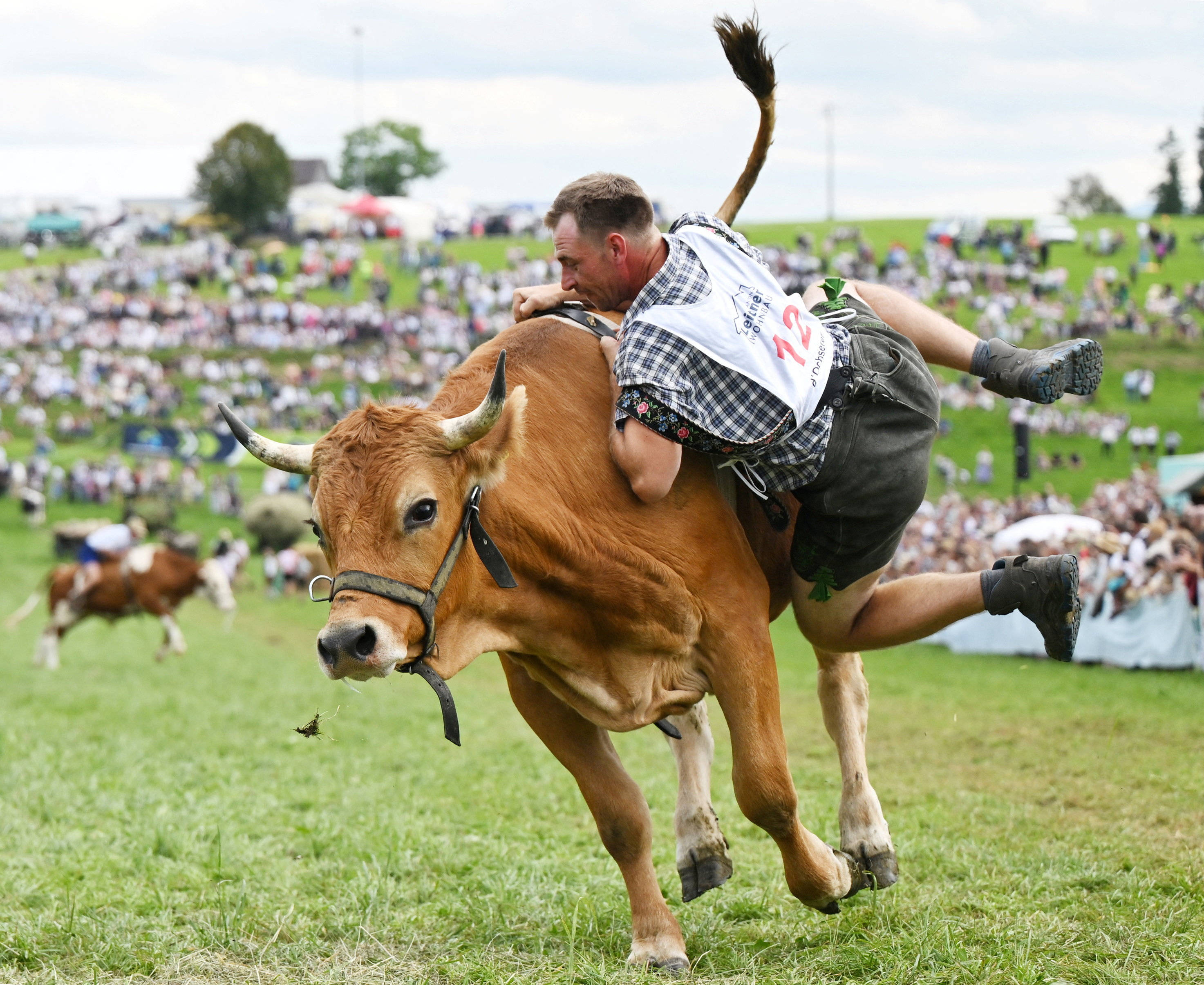 德国:骑牛比赛