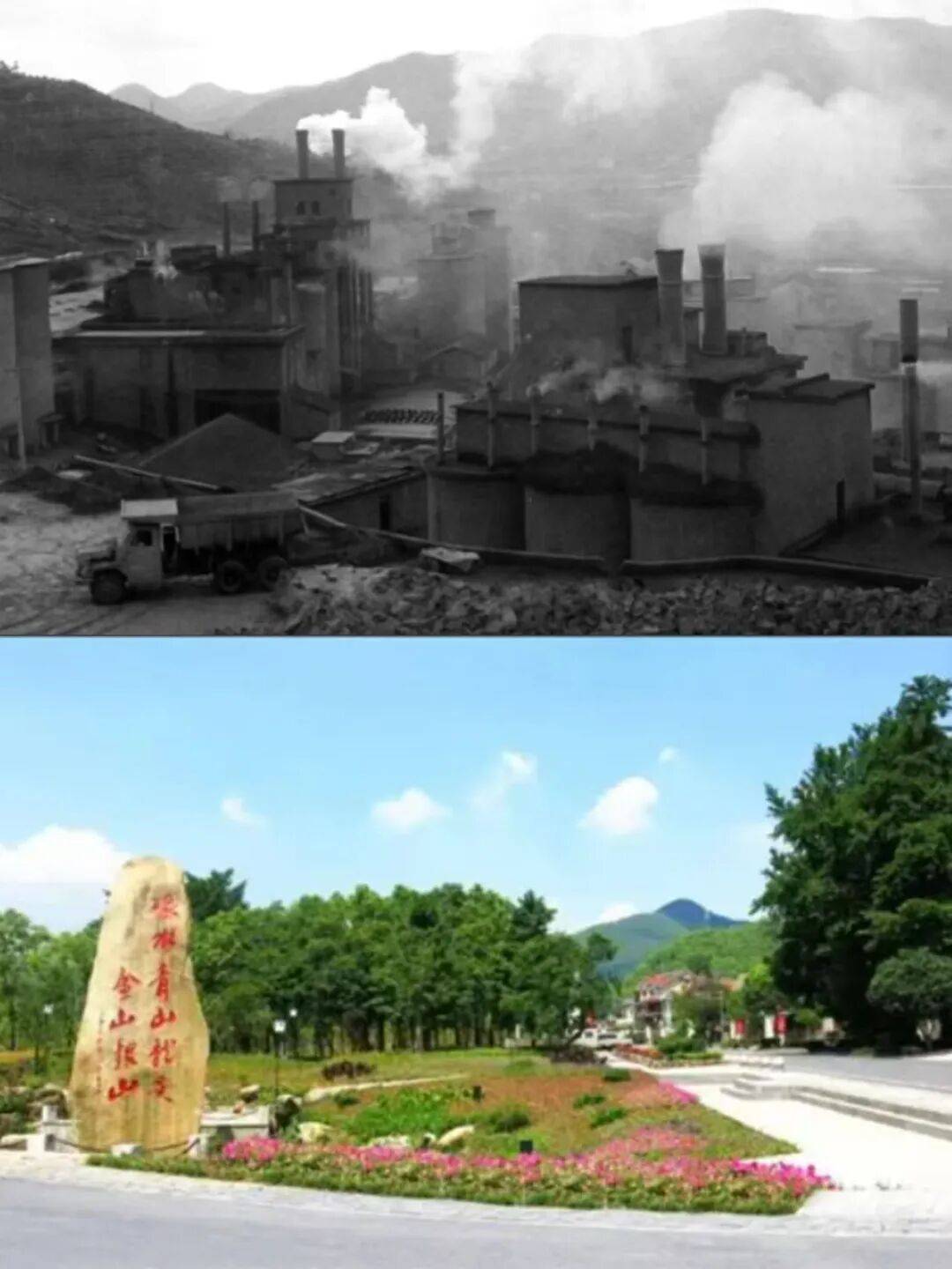 余村关停矿山和水泥厂后依托竹海资源发展白茶种植生态旅游村民
