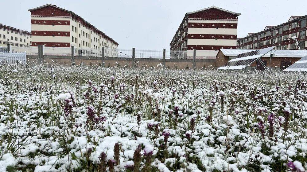 就下雪了？多股冷空气来袭 北方陆续开启入秋进程