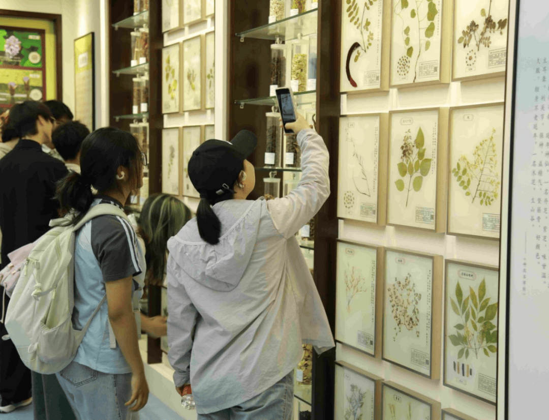 全省各地积极开展“全国药品安全宣传周”系列活动①