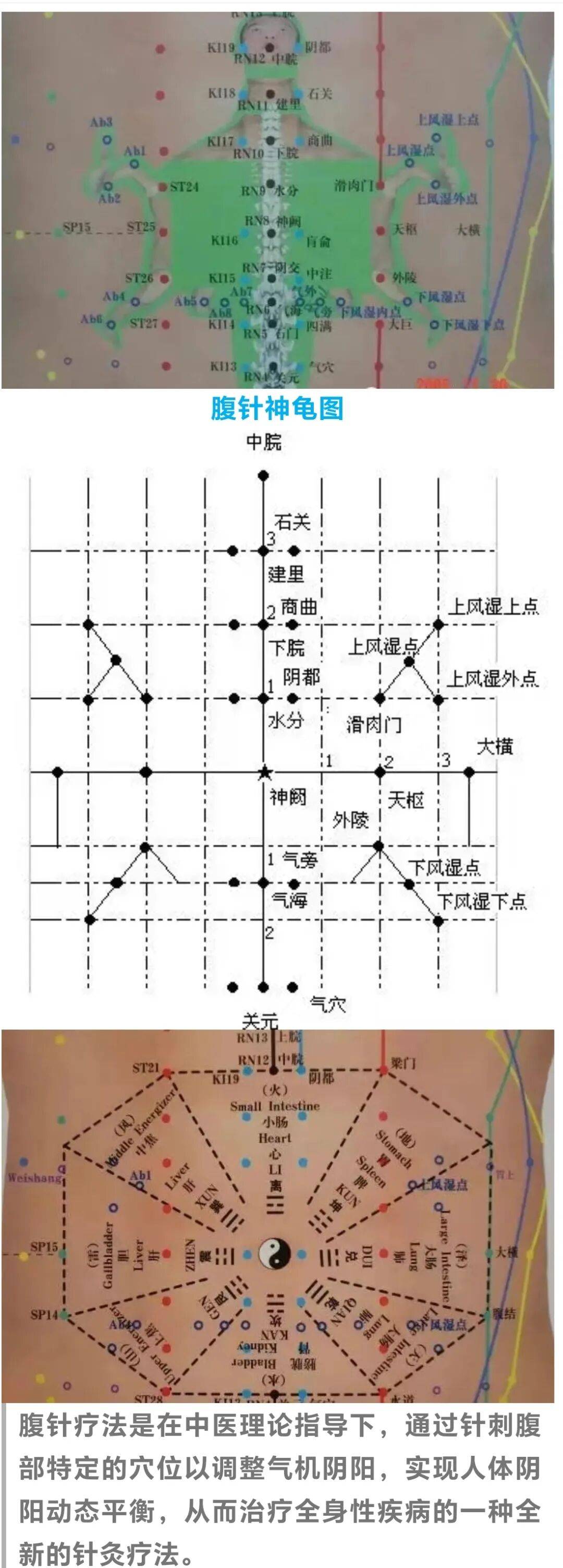十一年脾胃虚寒终得治,中医辨证论治显奇效