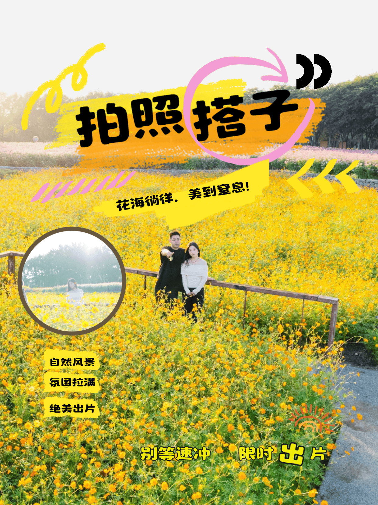 9月必冲!三台山秋季花海花期预告清单已上线