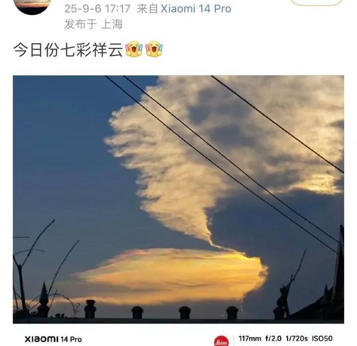 今日白露，上海最高温仍可达37℃！多人拍下这一幕，网友纷纷“接好运”