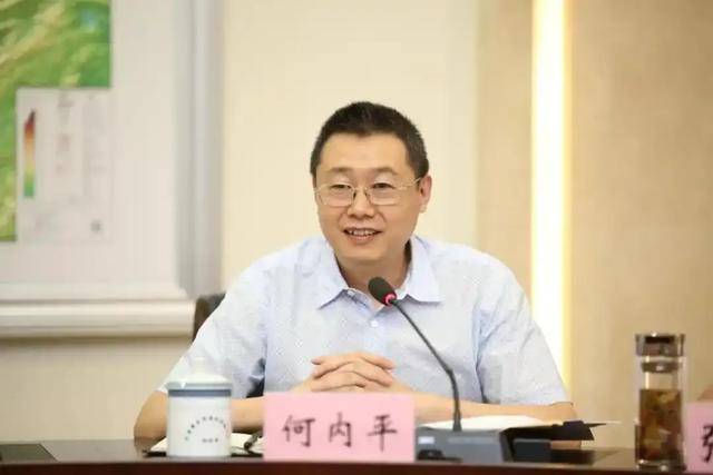 重庆市委巡视不久，何内平官宣被查