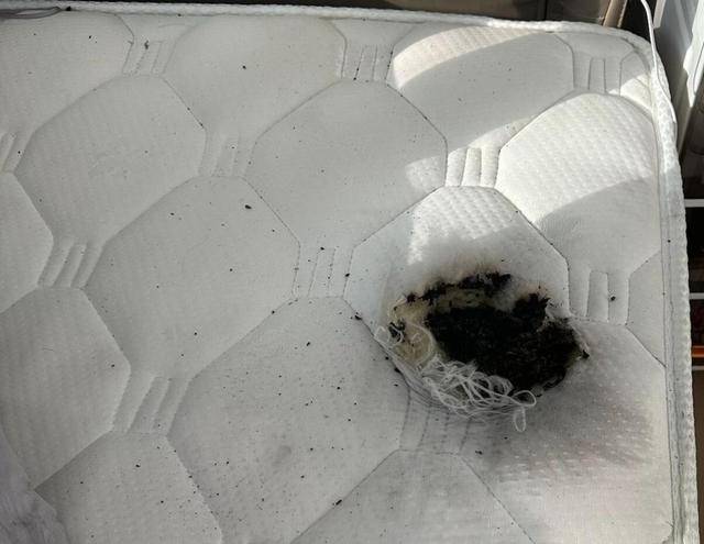 太吓人！辽宁一女子正睡觉，床上的充电宝爆炸起火