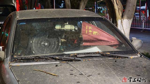免费停车位被“僵尸车”“广告车”长期霸占，梅城这些路段该管管了！