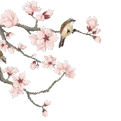 唐诗鉴赏：《春山夜月》