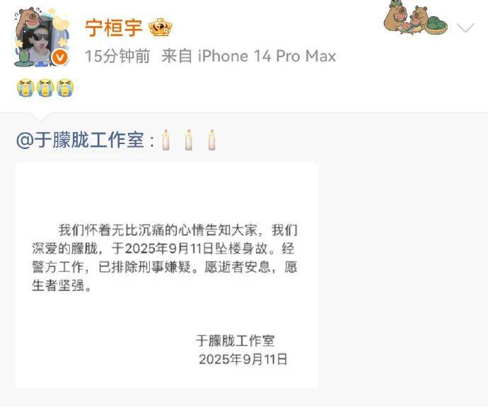 事关于朦胧坠亡，多平台出手！知名网红民警谈“排除刑事案件”…