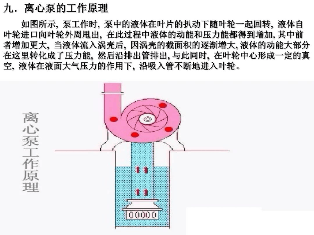 ppt分享 | 离心泵的拆装及维护实操