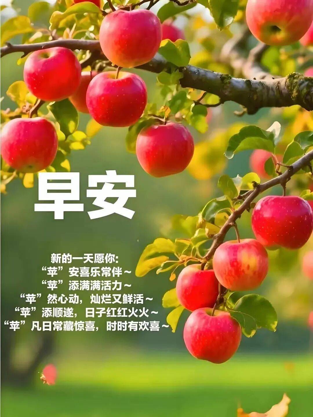 9月15日最漂亮早上好动态表情图片大全,早晨好动图美图大全