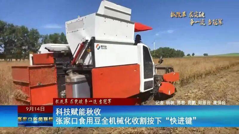 【抓改革 求突破 争一流 当冠军】科技赋能秋收 张家口食用豆全机械化收割按下“快进键”