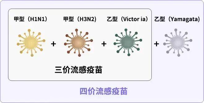 2025流感疫苗开打,疾控专家：如果你家孩子是这种情况,尽快接种！