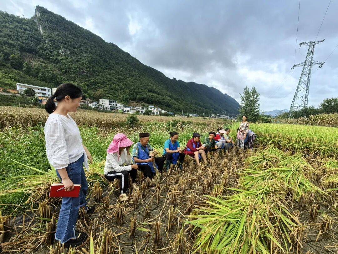 沙子乡一周工作动态（2025年9月8日至9月14日）