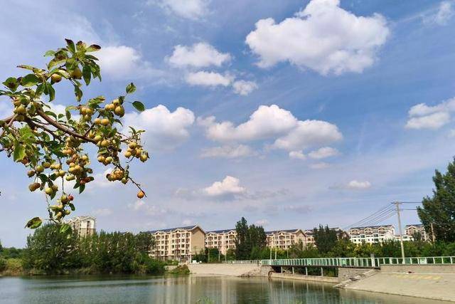 金秋漫步秀水廊道，一步一景宛如画中游