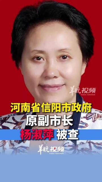 视频 | 河南省信阳市政府原副市长杨淑萍被查