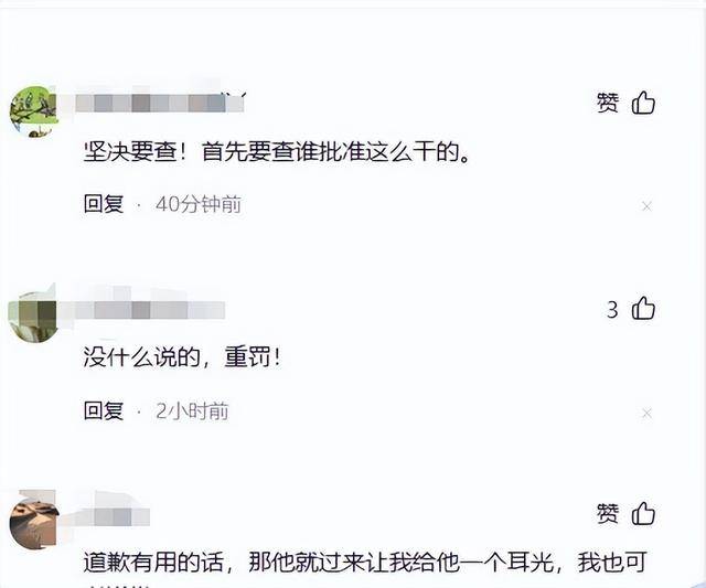 烟花秀后续！蔡国强道歉网友不买账，爆妻女日本籍，更多隐情流出