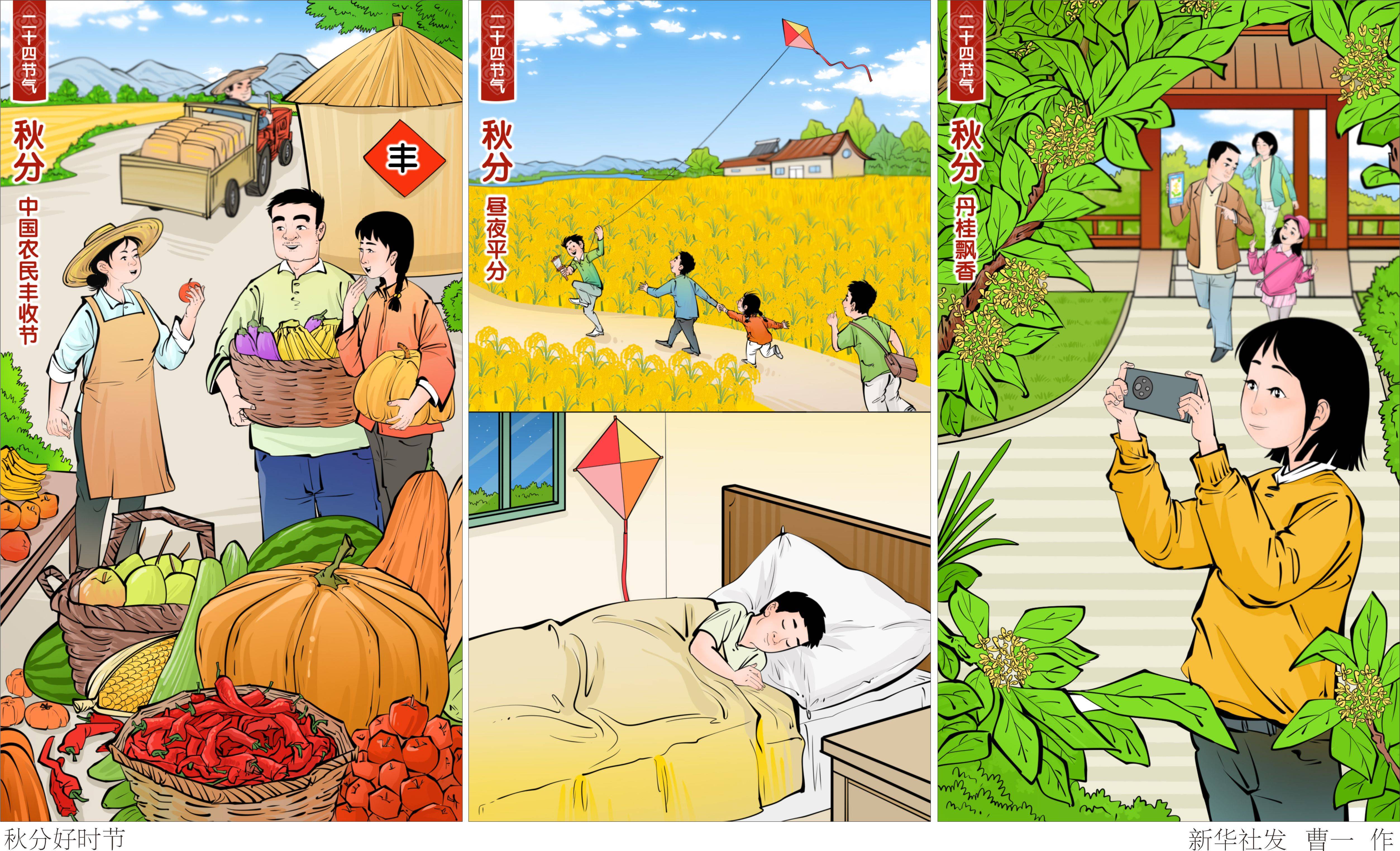 二十四节气·秋分丨秋分好时节