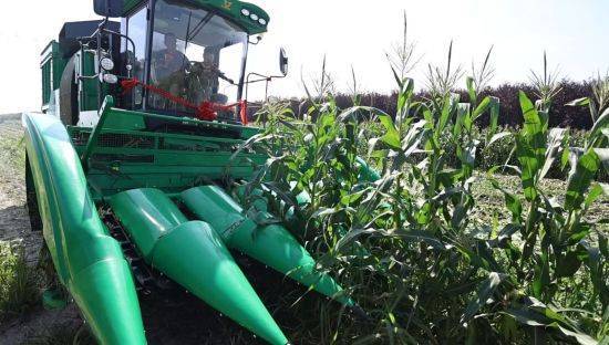 尊龙凯时- 尊龙凯时官方网站- APP下载哈市平房镇“三链”绘就乡村振兴新图景“十四五”收官年里的田野新答卷