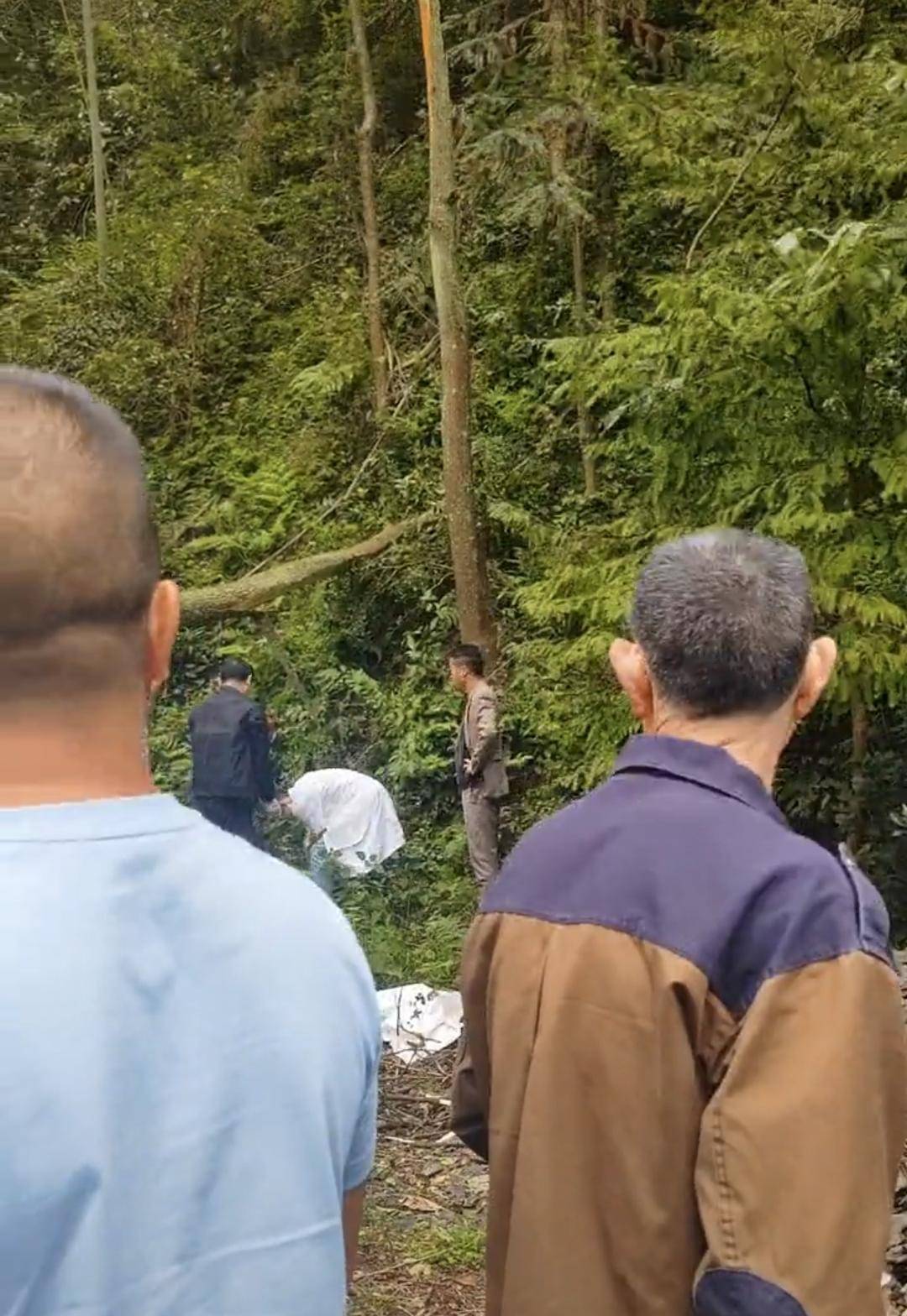 湖南一村民摘马蜂窝不幸被树砸中身亡 知情人树断