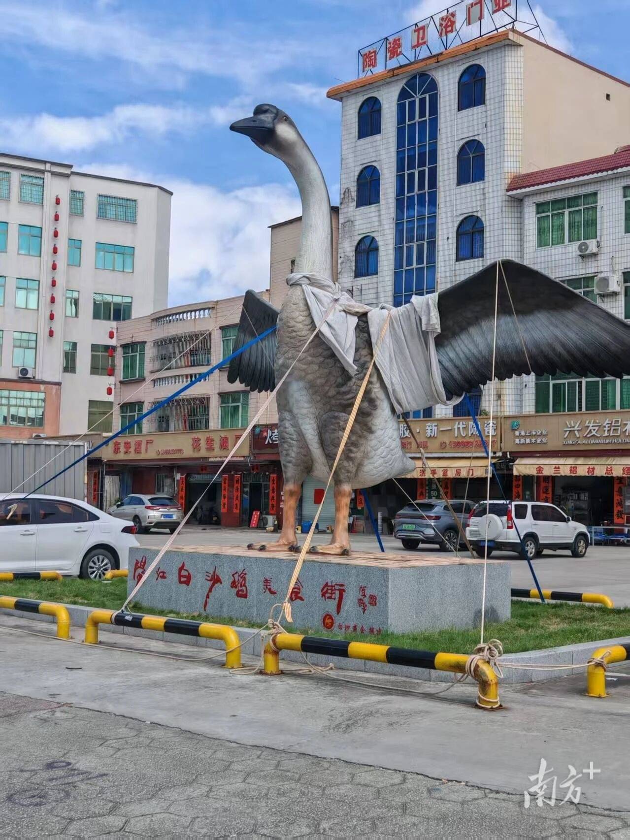 台风过后阳江网红大鹅雕像满血修复29日约定你