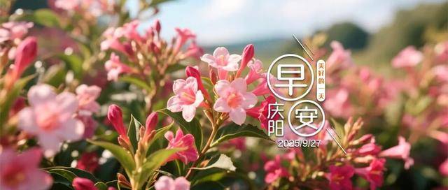 早安庆阳丨甘肃省地方标准《好房子住宅评价标准》发布！