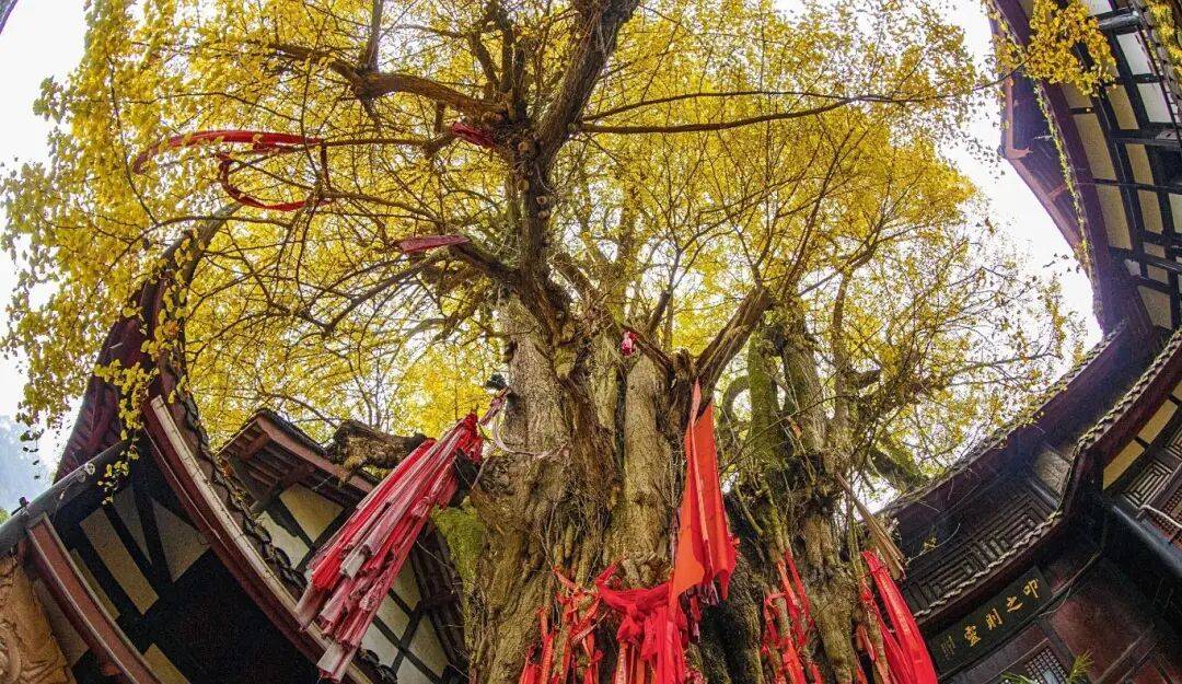 首批名录公布！四川两处入选