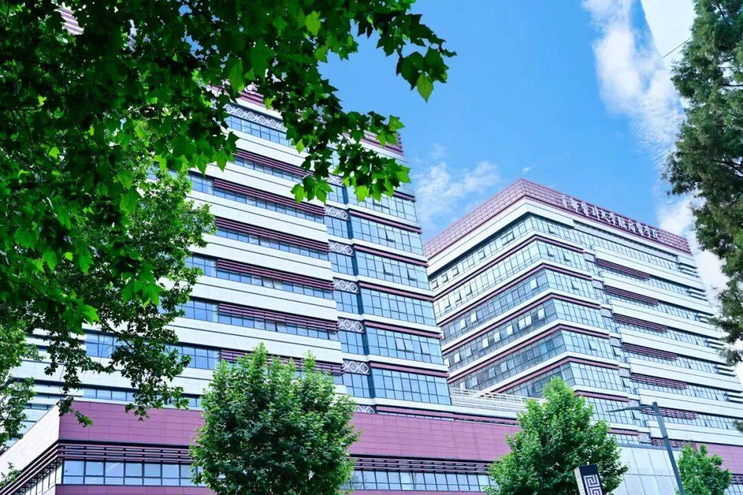 包含北京世纪坛医院、延庆区黄牛办理住院，跑腿挂号24小时服务的词条