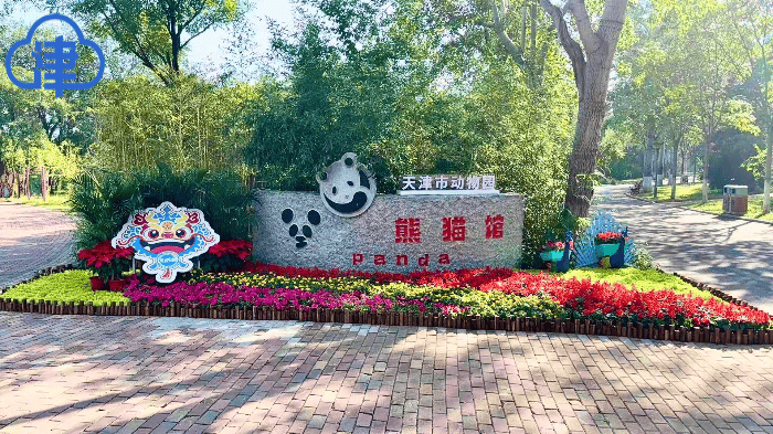 天津国庆“多巴胺花境”打卡合集来了！全城宝藏点位，免费又出片，别错过！