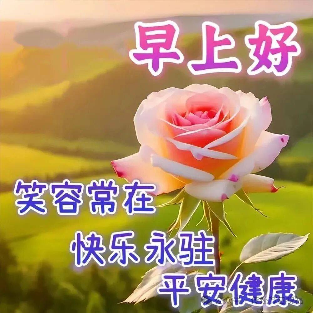 最新早上好表情包,简单问候到,快乐好心情!