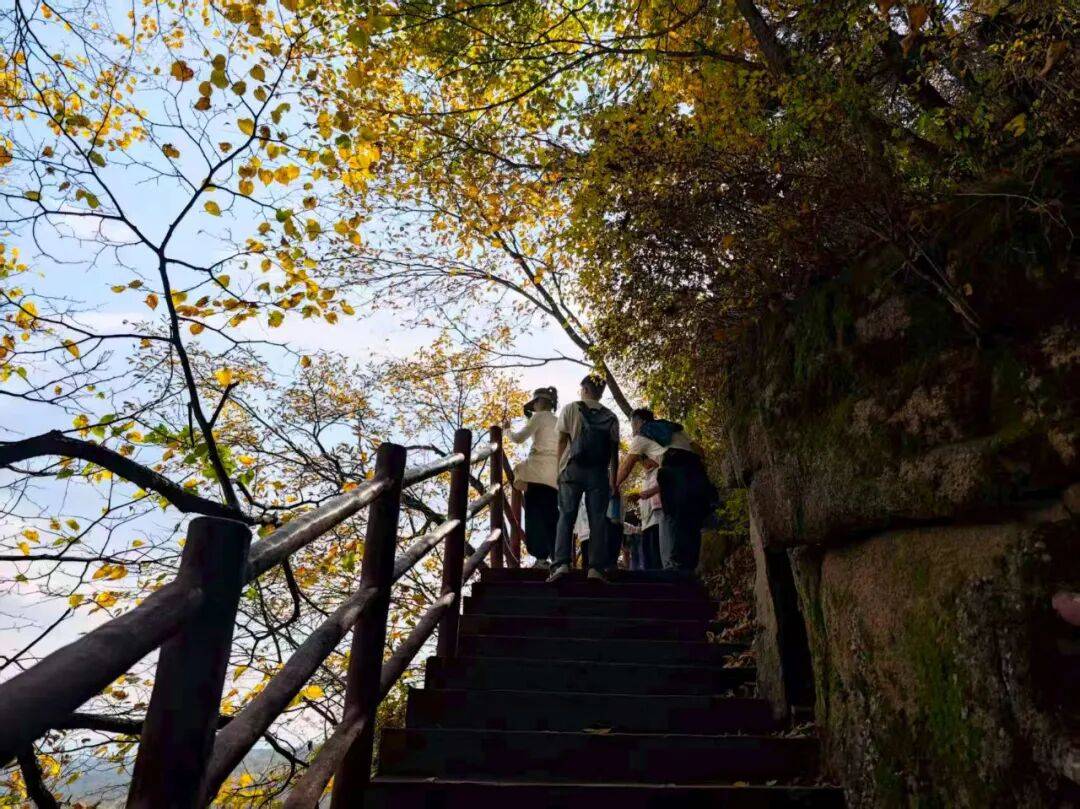 哈市五彩秋山"热力"十足!国庆假期首日令游客流连忘返