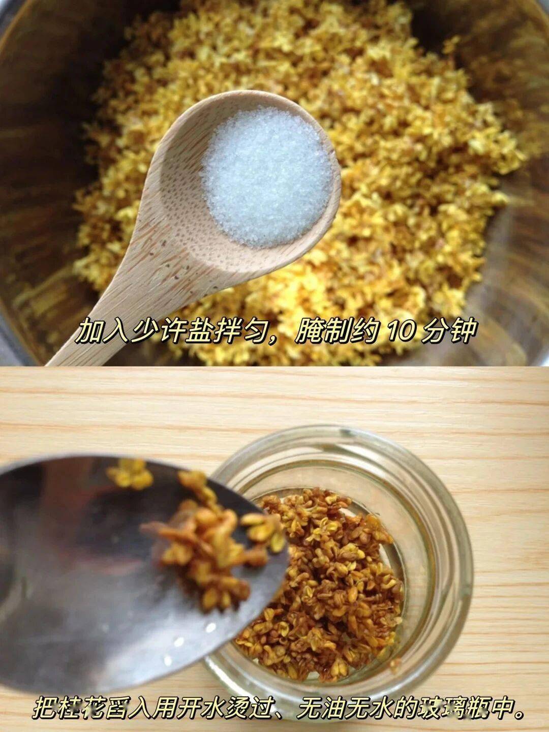 新鲜桂花放入蜂蜜会坏吗视频讲解(新鲜桂花放入蜂蜜会坏吗视频讲解下载) 新鲜桂花放入蜂蜜会坏吗视频讲解(新鲜桂花放入蜂蜜会坏吗视频讲解下载)