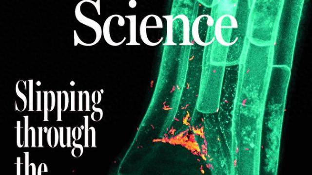 5年登上《科学》封面！这位上海青科没缺过钱，靠的是什么？