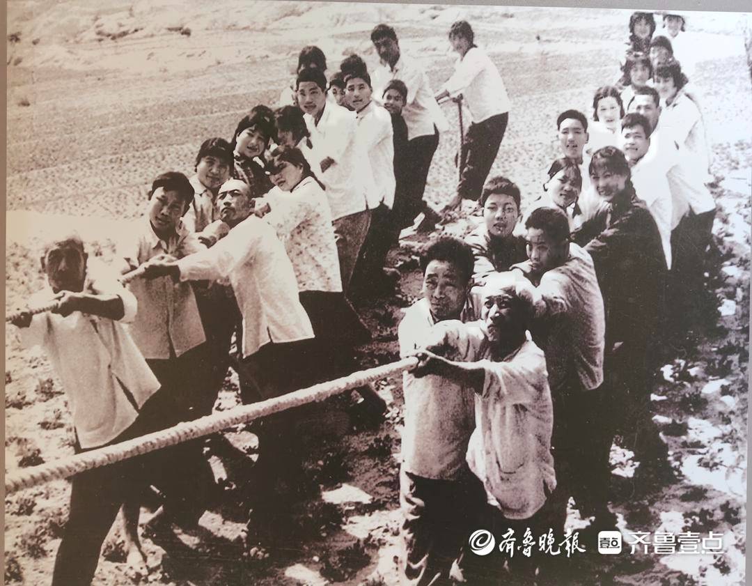 薪火沂蒙⑤|“土坷垃”长出“红票子”