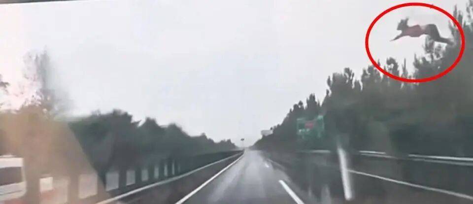 SUV疑打滑失控撞护栏翻滚，女子高速路上被甩到空中，交警提醒