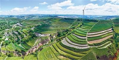 生态文明建设实现新进步（新时代画卷·决战决胜“十四五”）
