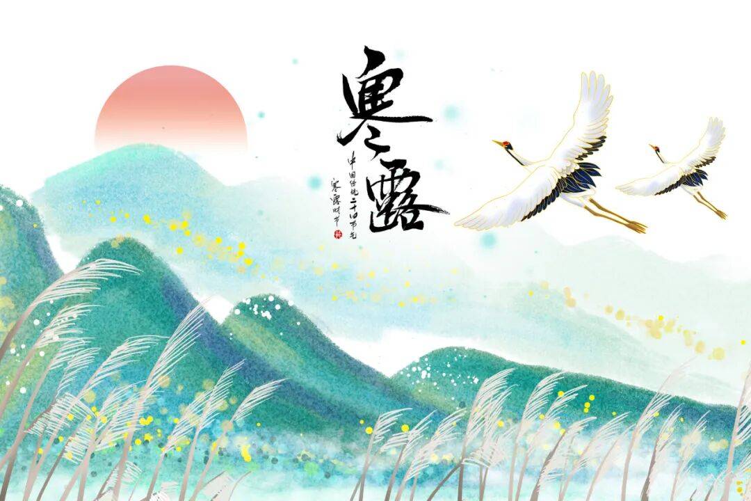 寒露已至 暑热未消