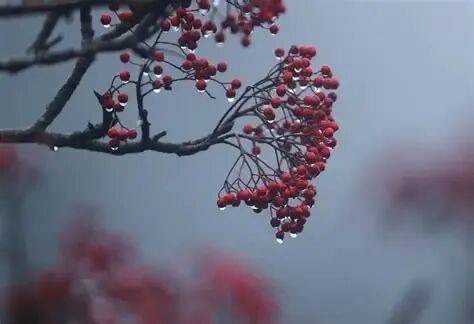 多阴雨，低温添厚衣